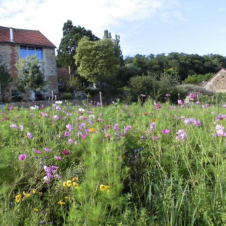 Vineyard Garden Studio Mont-Saint-Jean  Exterior photo